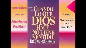 Hay 39 audiolibros para descargar en la categoría de ciencia ficción. Audiolibro El Zen Y Nosotros La Magia De Ser Sofia Bilogia Sofia 1 Audiolibro De