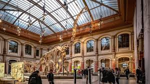 Du suchst für 2021 ein ausbildungsplatz in berlin? Koloniales Erbe Im Naturkundemuseum Wie Die Dinosaurier Nach Berlin Kamen Rbb24
