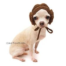 May The Gifts Be With You Star Wars Gifts 2019 Crochet Dog Hat Dog Hat Princess Dog