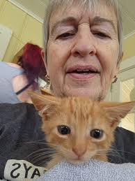 One of our new baby kitties at the shelter. He and his sibling's came in  with fleas ear mites worms and needing vet care. All are doing better now