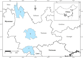 Image result for Buchnera longispicata