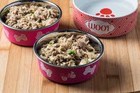 Balance it canine (original version) is designed to balance out limited homemade diets that are high in carbs and low in protein. Healthy Homemade Dog Food Tasty Low Carb Dog Food Recipes Low Calorie Dog Food Healthy Homemade