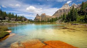 Nature Wallpaper Hd For Desktop Full Screen 1080p Explore hd wallpapers nature 1080p on wallpapersafari | find more items about nature hd wallpapers 1080p widescreen, wallpaper the great collection of hd wallpapers nature 1080p for desktop, laptop and mobiles.