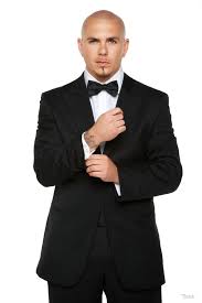 Pitbull Singer Rapper Pitbull Rapper Pitbulls Theme Song