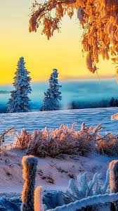 A collection of 4k winter wallpapers that are perfect for your iphone, ipad, or macbook. Beautiful Winter Sunrise 4k Ultra Hd Wallpaper 4k Wallpaper Net Hd Nature Wallpapers Nature Wallpaper Sunrise Wallpaper