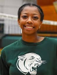 High school softball: Elyria Catholic's Hannah Brooks makes first-team  All-Ohio and Jim Piazza named Coach of the Year in Division IV