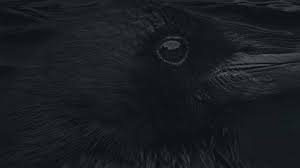 Image result for Horror fiction