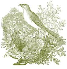 See more ideas about graphics fairy, printable art, printables. Free Vintage Nightingale Images The Graphics Fairy