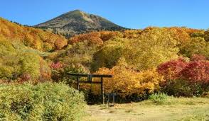 Image result for Hakkoda Walk