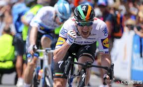 Pin By Kenneth B Alman On Cycling Sprinter Tour De France Scott Sports