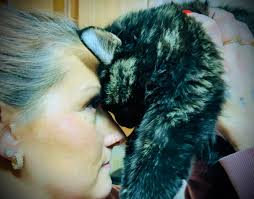 🐈‍⬛🐾🖤I missed her so much today🖤🐾🐈‍⬛ My Georgie Maybelline 💋