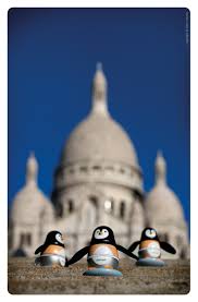Pingouins Pingouin Danse Avec Les Stars