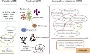 Facts And Controversies In Mixed Connective Tissue Disease Sciencedirect