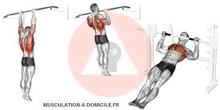 Musculation A Domicile Methode Poids De Corps Et Haltere Exercices Des Tractions En Musculation
