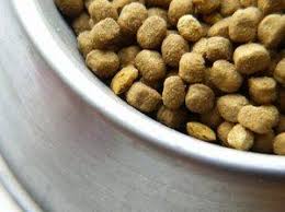 The fresh kibble should be stored in a cool, dark place and used within three to. Dog Food Recipes For Kibble And Meat Loaf Lovetoknow