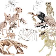 Halloween Decoration Bone Props Animals Skeleton Ornaments Bat Spider Dragon Bird Bones Hallowmas Ho Animal Skeletons Halloween Decorations Fun Halloween Decor