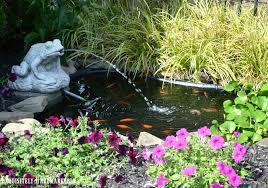 It's 5×7 feet and 9 inches deep. Keeping Pond Water Clean And Clear Without Chemicals Exquisitely Unremarkable