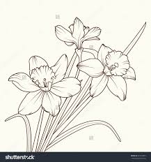 Narcissus Isolated Brown On Beige Background Spring Flowers Vector Illustration Flower Drawing Flower Line Drawings Drawings