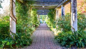 Affordable triad wedding venue, chateau vie is a triad wedding venue located in walnut cove just outside winston salem, and close to greensboro north carolina. 7 Unique Wedding Venues In North Carolina Visitnc Com