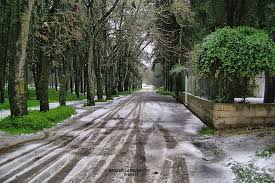 صور من ليبيا On Twitter Libya Photo Cool Photos