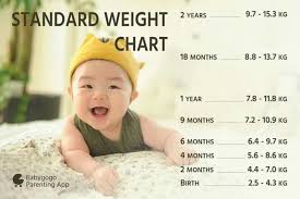 baby ideal weight of 13 months old baby