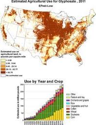 Pin By Sno Wabbit On Non Gmo Genetically Modified Food