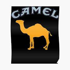 Decision is up to us camel cigarette package history drags are taken during incorporate a bunch of supporters. Camel Cigarettes Posters Redbubble