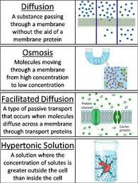 Passive And Active Cell Transport Word Wall Cards Biology Lessons Medical School Studying Nursing School Survival