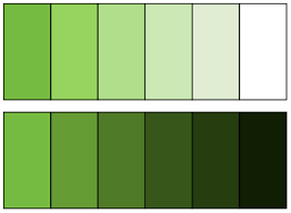 colour theory monochromatic achromatic lessons tes teach