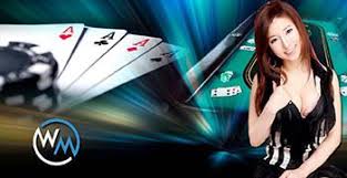 Top WM Casino - Tips to Finding the Best Online Casino 