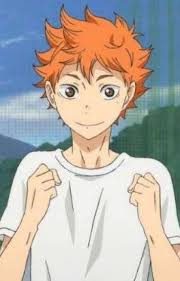 If i had half that vertical that would be nice. Haikyuu Shoyo Hinata Girlfriend Novocom Top