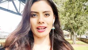 Thelittlebluejournal