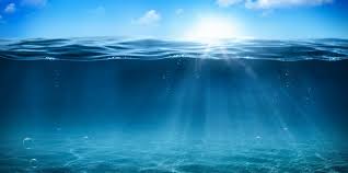 3.56(9) · согвипхо, провинция чеджу, южная корея. Climate Emergency Cop 25 New Platform Linking Oceans And Climate Launched In Madrid