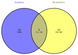 Non-Volatile Component and Antioxidant Activity: A Comparative Analysis  between Litsea cubeba Branches and Leaves