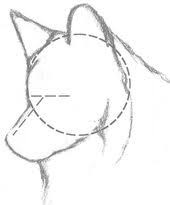 10 urokov risovaniya prostym karandashom risunki s volkami eskiz volka uroki risovaniya