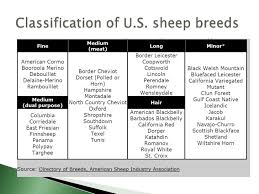 Income Opportunities With Sheep And Goats