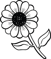 Black And White Daisy Flower Clipart Picture Flower Black And White Clipart In 2020 Flower Drawing Clip Art Daisy Flower