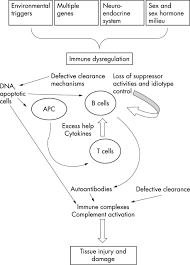 Lupus erythematosus, an autoimmune disorder that causes chronic inflammation in various parts of the body. Pathogenesis Of Systemic Lupus Erythematosus Journal Of Clinical Pathology
