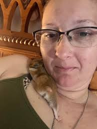 Has anyone ever noticed that ur Guinea pig lays low and extra sleeping way  before a weather change