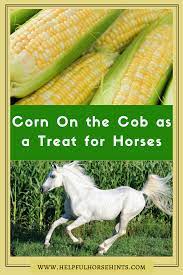 Pin On Horses