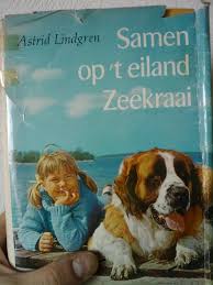 Pin Op Bibliotheek Van Waarde
