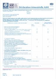 Les aides caf visées par la déclaration de ressources. Cerfa 14208 01 Declaration Trimestrielle A La Caf Allocation Adulte Handicape Aah Startdoc