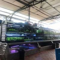 Nah senarai tempat makan murah via bm.cari.com.my. Xian Long Aquarium 12 Jalan Ringgit 23 11