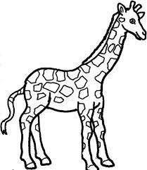 To print out a black and white coloring sheet, use the eraser to remove all the colors in the picture, and click the printer icon! 21 Exclusive Picture Of Giraffe Coloring Pages Entitlementtrap Com Zoo Animal Coloring Pages Giraffe Coloring Pages Animal Coloring Pages