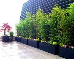 Pin Auf Sichtschutz Terrasse