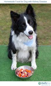 Homemade Food For Dog With Kidney Disease Make Dog Food Raw Dog Food Recipes Grain Free Dog Food