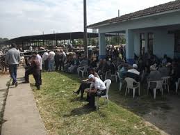 Hayvan Pazari Doldu Duzce Parantez