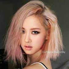 Pin On Blackpink 5th Member