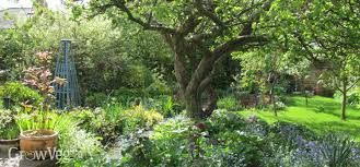 The restricted root space provided by containers dwarfs plants, including fruit trees. Planning A Mini Orchard