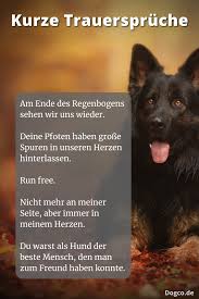 Kurze Trauerspruche Fur Hunde Trostende Worte Zum Abschied In 2020 Trostende Worte Worte Zum Abschied Spruche